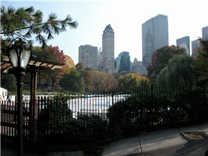 Central Park Today