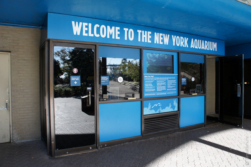 New York Aquarium in Brooklyn