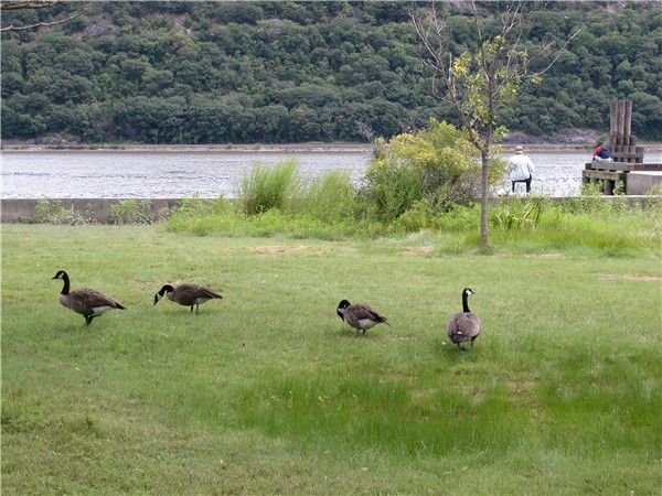 Upstate New York