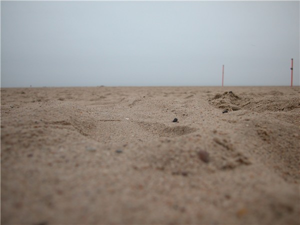 Brighton Sand
