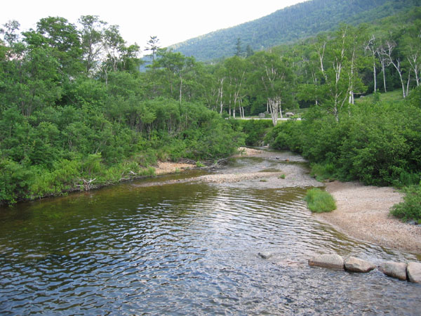 MA, NH, VT