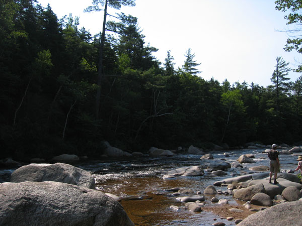 MA, NH, VT