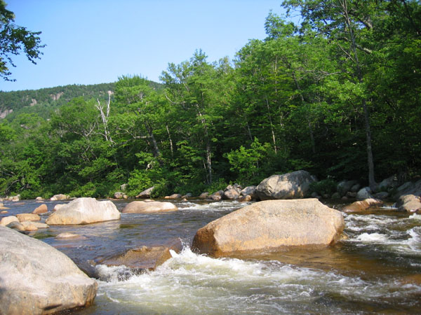 MA, NH, VT