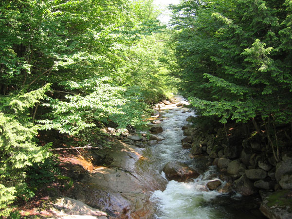 MA, NH, VT