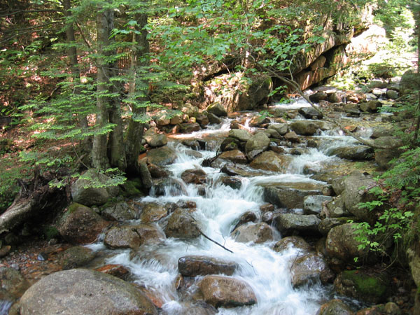 MA, NH, VT