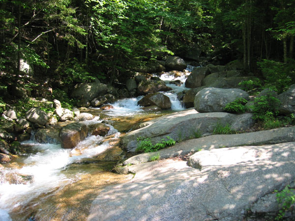MA, NH, VT