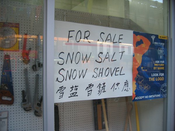 86th Street, Brooklyn, New York