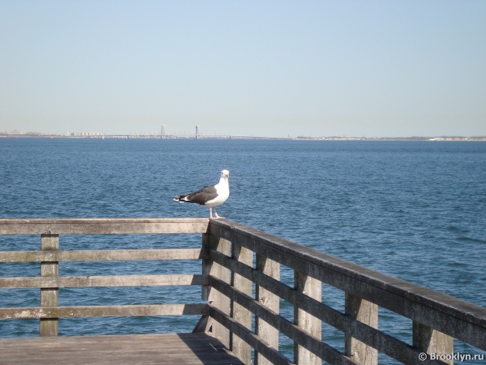Coney Island, Brooklyn, New York