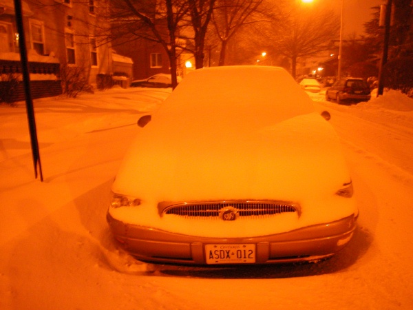 Blizzard in Brooklyn