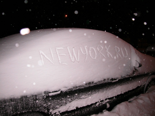Blizzard in Brooklyn