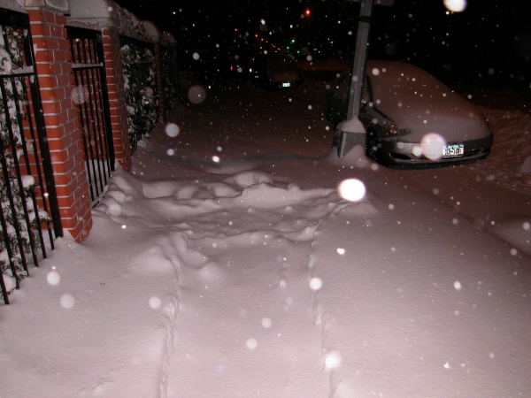 Blizzard in Brooklyn
