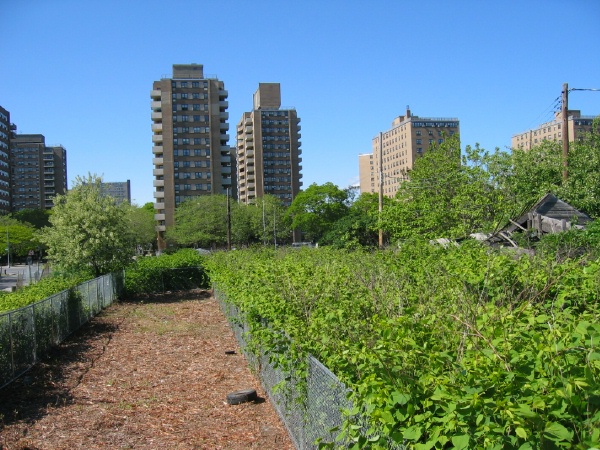 Coney Island, New York