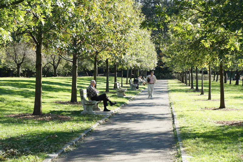Brooklyn Botanical Garden