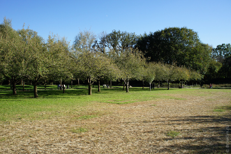Brooklyn Botanical Garden