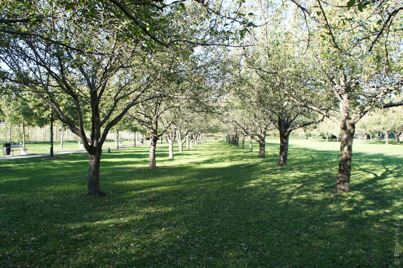 Brooklyn Botanical Garden