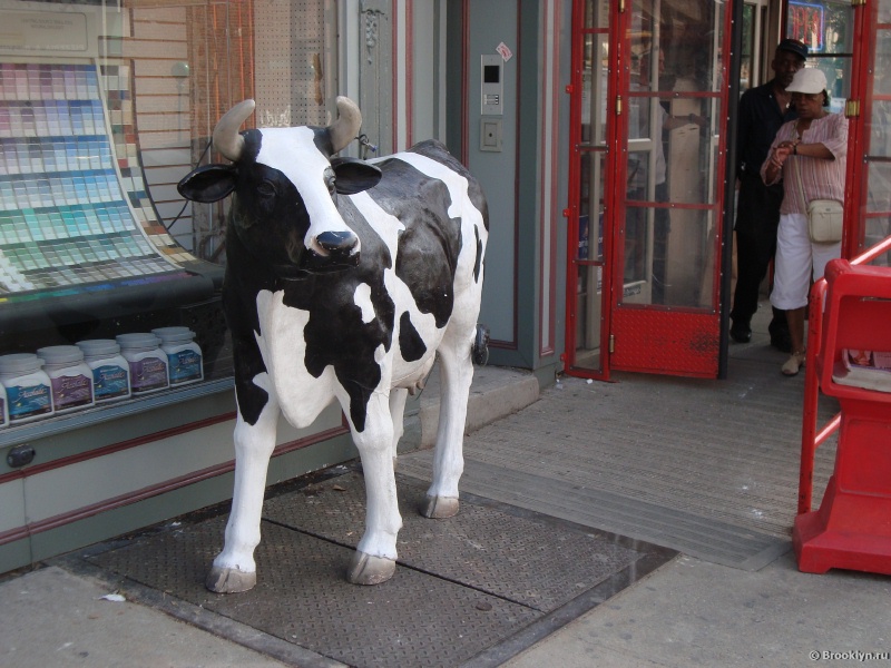 Downtown Brooklyn, New York