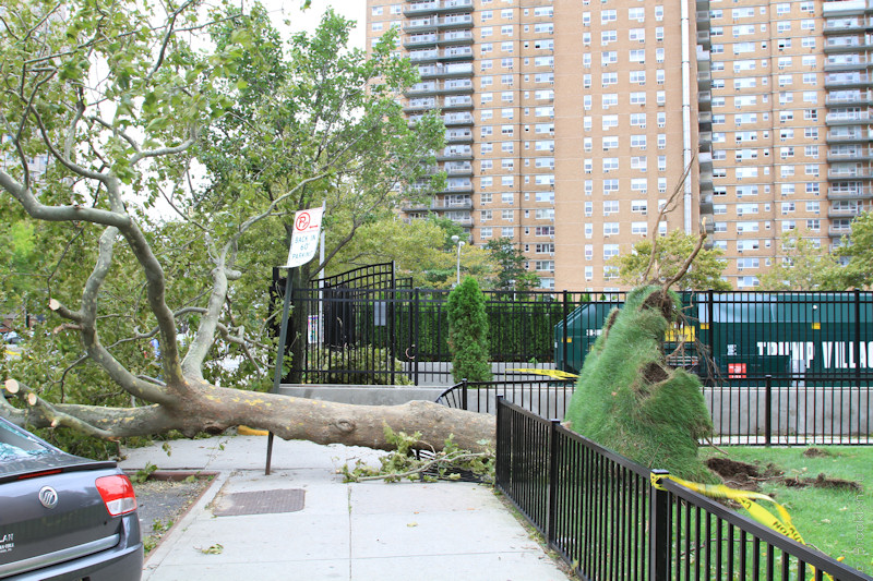 ураган Айрин, Бруклин, Нью-Йорк — фото и видео из Бруклина