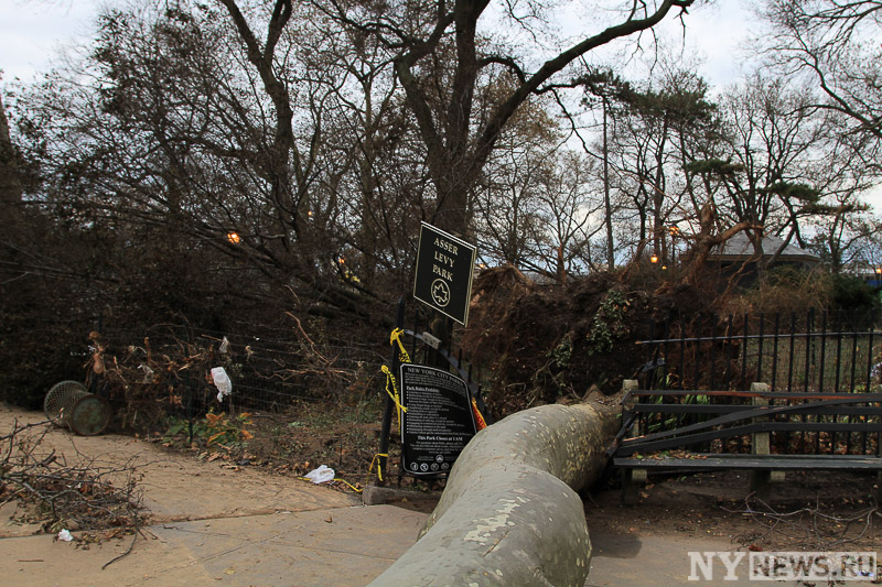 Последствия урагана Сэнди, Бруклин, Нью-Йорк
